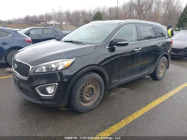 5XYPGDA51HG317724 2017 KIA SORENTO - Image 2