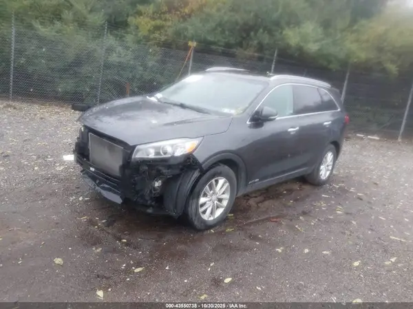 5XYPGDA51HG325564 2017 KIA SORENTO - Image 2