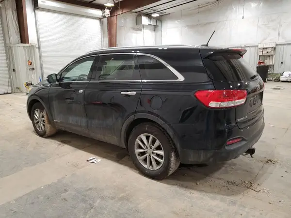 5XYPGDA51HG332210 2017 KIA SORENTO - Image 2