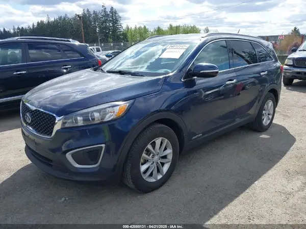 5XYPGDA51HG335348 2017 KIA SORENTO - Image 2