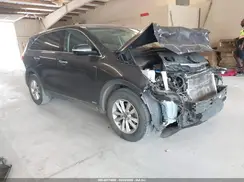 5XYPGDA51KG441256 2019 KIA SORENTO