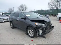 5XYPGDA51KG455075 2019 KIA SORENTO