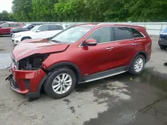 5XYPGDA51KG466531 2019 KIA SORENTO