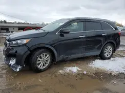 5XYPGDA51KG504033 2019 KIA SORENTO
