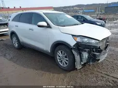 5XYPGDA51LG618504 2020 KIA SORENTO