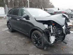 5XYPGDA51LG685877 2020 KIA SORENTO