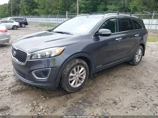 5XYPGDA52GG009489 2016 KIA SORENTO - Image 2