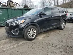 5XYPGDA52GG037924 2016 KIA SORENTO