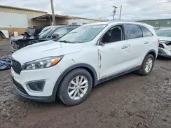 5XYPGDA52HG240569 2017 KIA SORENTO