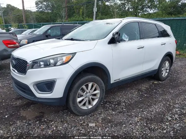 5XYPGDA52HG241284 2017 KIA SORENTO - Image 2