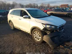 5XYPGDA52LG636607 2020 KIA SORENTO