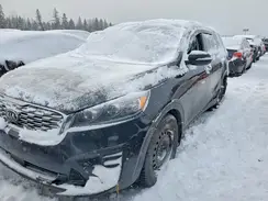 5XYPGDA52LG684964 2020 KIA SORENTO