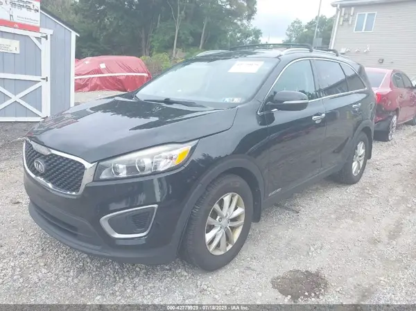 5XYPGDA53GG029511 2016 KIA SORENTO - Image 2