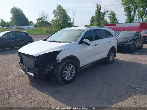 5XYPGDA53GG105406 2016 KIA SORENTO - Image 2