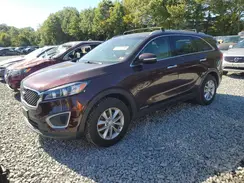 5XYPGDA53GG125199 2016 KIA SORENTO