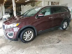 5XYPGDA53HG322956 2017 KIA SORENTO