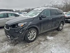 5XYPGDA53KG560975 2019 KIA SORENTO