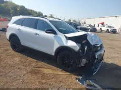5XYPGDA53LG671804 2020 KIA SORENTO