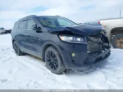 5XYPGDA53LG687159 2020 KIA SORENTO