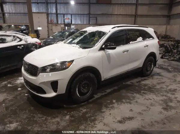 5XYPGDA53LG702274 2020 KIA SORENTO - Image 2