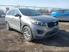 5XYPGDA54GG065563 2016 KIA SORENTO