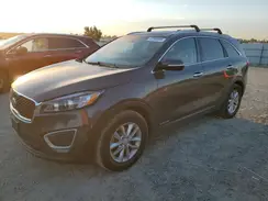 5XYPGDA54GG135501 2016 KIA SORENTO
