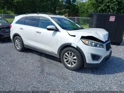 5XYPGDA54GG178882 2016 KIA SORENTO