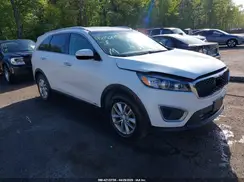 5XYPGDA54HG187891 2017 KIA SORENTO
