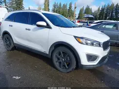 5XYPGDA54HG189284 2017 KIA SORENTO
