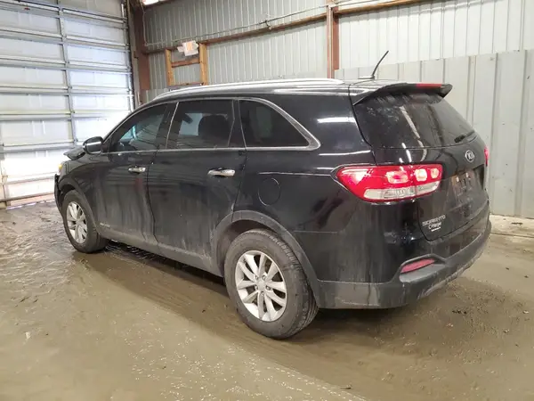 5XYPGDA54HG212210 2017 KIA SORENTO - Image 2