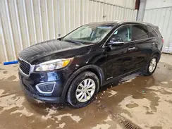 5XYPGDA54HG241626 2017 KIA SORENTO