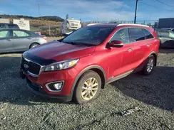 5XYPGDA54HG315448 2017 KIA SORENTO