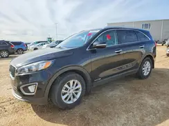 5XYPGDA54JG411800 2018 KIA SORENTO