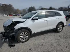 5XYPGDA54KG576635 2019 KIA SORENTO