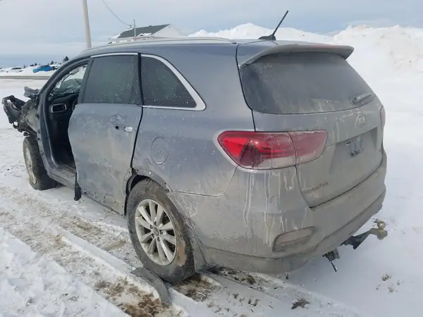 5XYPGDA54LG695044 2020 KIA SORENTO - Image 2