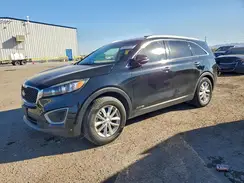5XYPGDA55GG047511 2016 KIA SORENTO