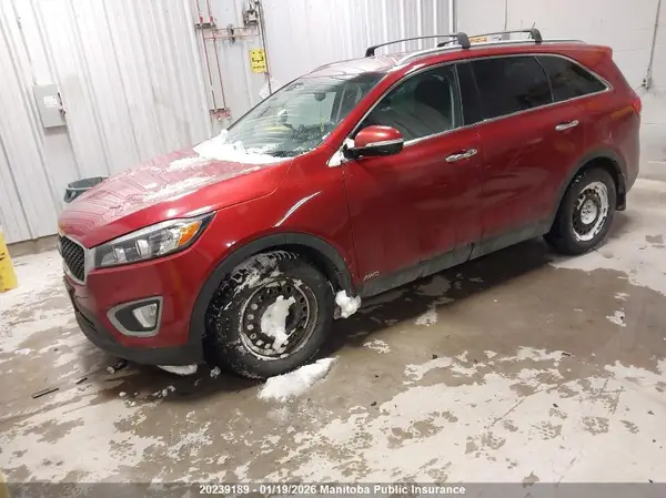 5XYPGDA55GG085935 2016 KIA SORENTO - Image 2
