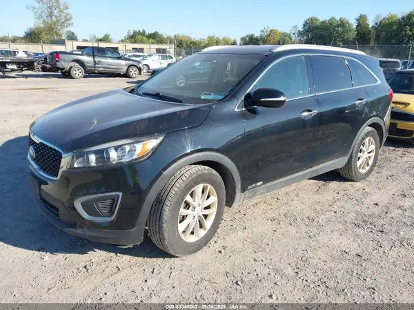 5XYPGDA55GG177627 2016 KIA SORENTO - Image 2