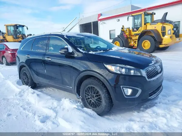 5XYPGDA55HG188063 2017 KIA SORENTO - Image 1