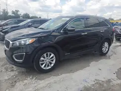 5XYPGDA55HG195725 2017 KIA SORENTO
