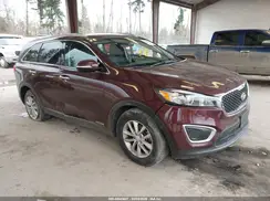 5XYPGDA55HG335479 2017 KIA SORENTO