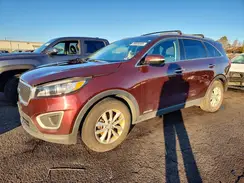5XYPGDA55HG337278 2017 KIA SORENTO