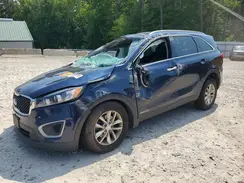 5XYPGDA55JG391055 2018 KIA SORENTO