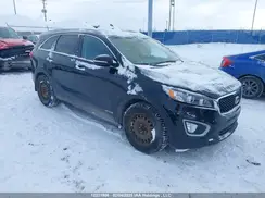 5XYPGDA55JG391458 2018 KIA SORENTO