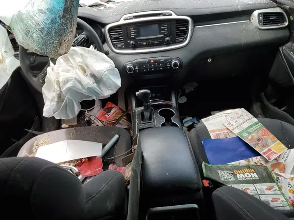 5XYPGDA55JG403530 2018 KIA SORENTO - Image 8