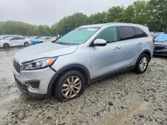 5XYPGDA55JG418318 2018 KIA SORENTO