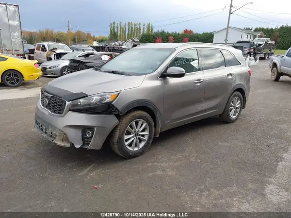 5XYPGDA55KG503905 2019 KIA SORENTO - Image 2