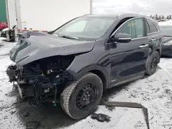 5XYPGDA55KG549699 2019 KIA SORENTO