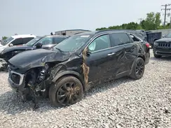 5XYPGDA55KG583531 2019 KIA SORENTO