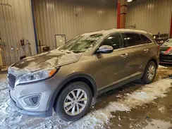 5XYPGDA56GG080324 2016 KIA SORENTO